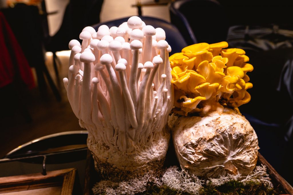 Da Yi Seafood Hot Pot, premium hot pot in Shanghai. Photo by Rachel Gouk.