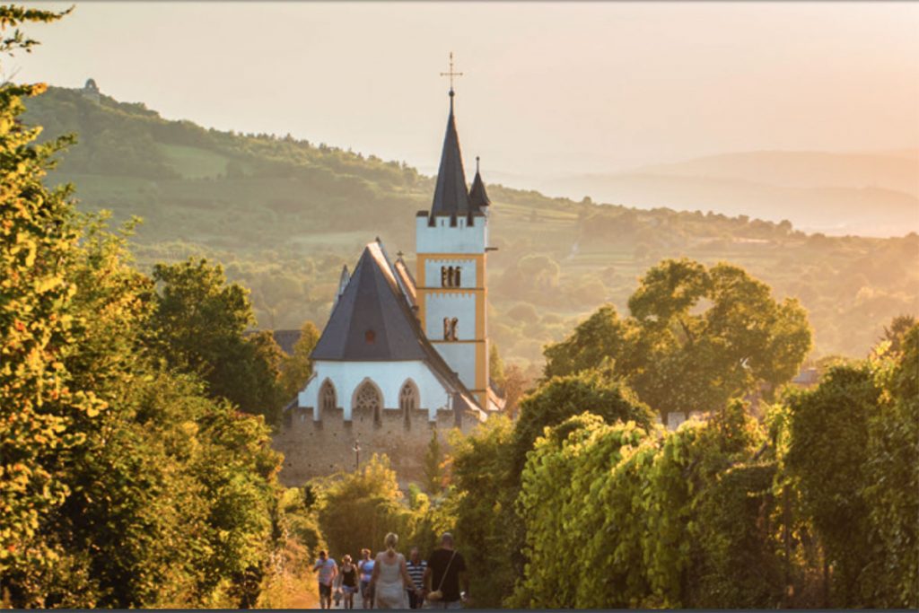 Kolonne 0, a non-alcoholic wine from Berlin, Germany, is now being distributed in Shanghai, China. Photo by Rachel Gouk. 