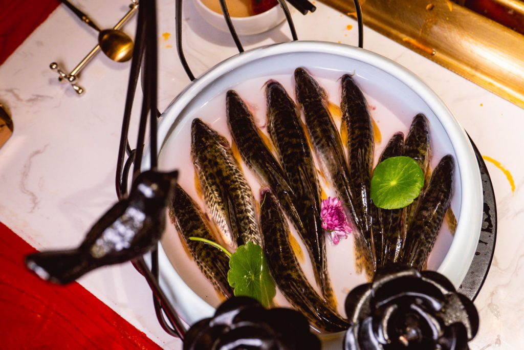 Fish at The Way of The Dragon is a high-end Sichuan hotpot restaurant on the Bund, Shanghai. Great for entertainment dining. Photo by Rachel Gouk.