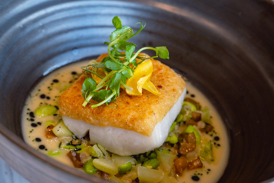 Halibut at Oxalis, contemporary French restaurant in Shanghai. Photo by Rachel Gouk