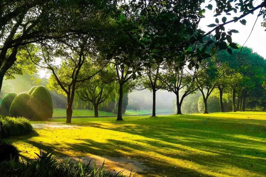 Gardens at Xijiao State Guest Hotel, Shanghai. @ Nomfluence.