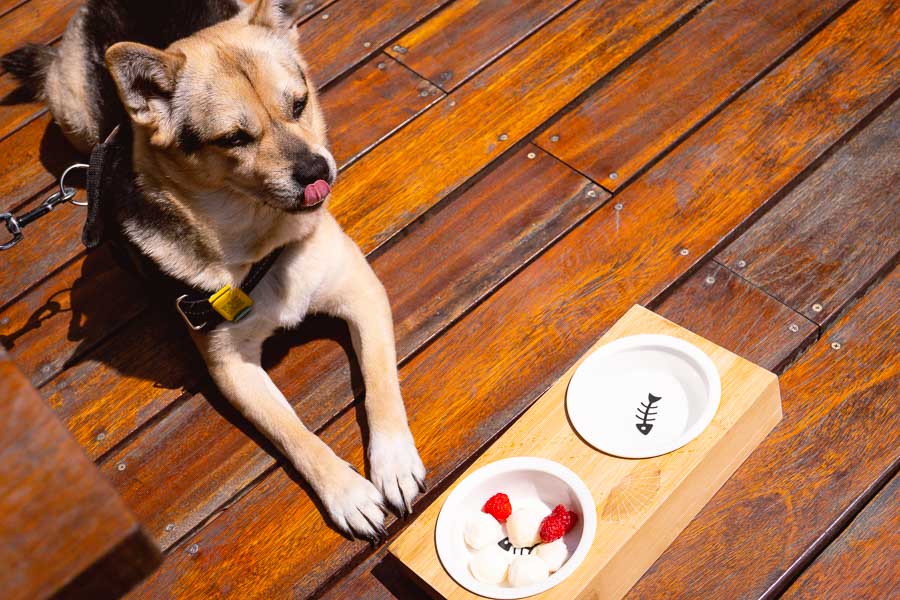 Dog-friendly restaurants in Shanghai. Brunch at Fifty 8 Grill, Mandarin Oriental Shanghai. Photo by Rachel Gouk @ Nomfluence
