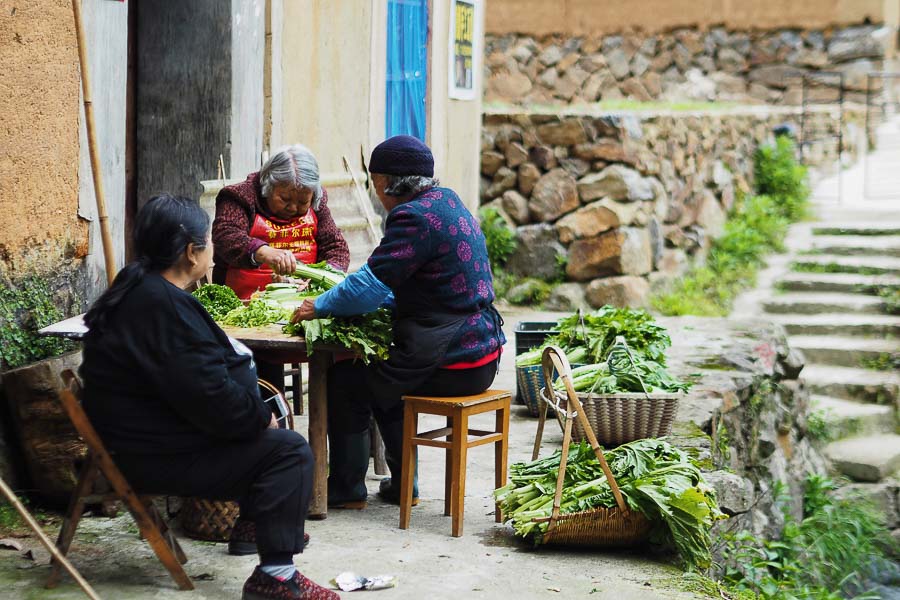 Travel China: Taoye 桃野 is a boutique hotel in Lishui, Zhejiang. @ Nomfluence