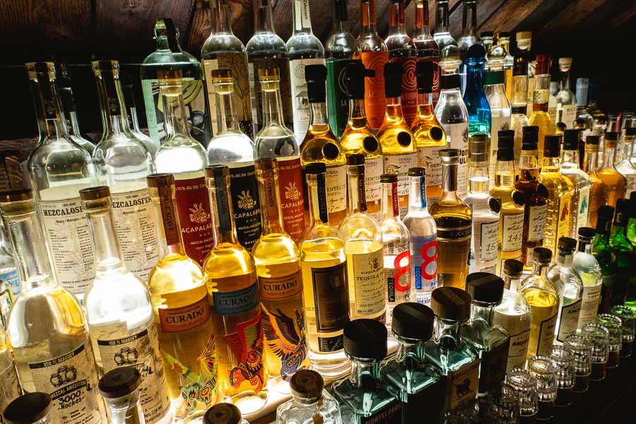 Agave spirits bar COA reopens in Shanghai