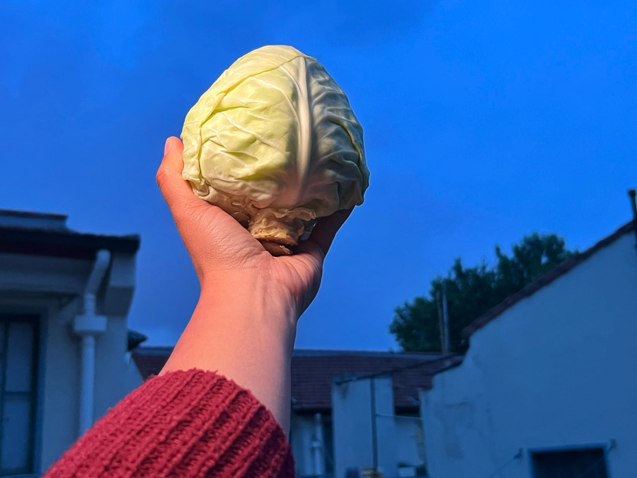 Recipe for stuffed cabbage rolls. A simple, satisfying meal at home. Photos & Recipe by Rachel Gouk @ Nomfluence.