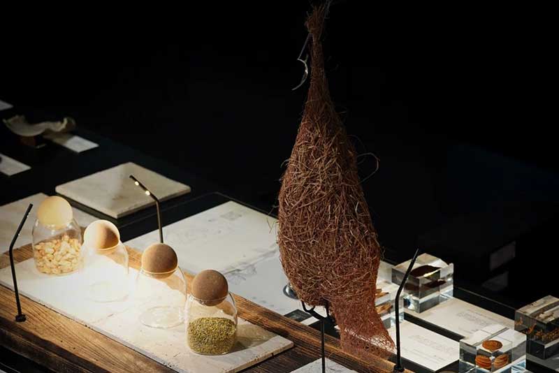 Shanghai fine dining restaurant Canopia under fire for serving guests elephant shit