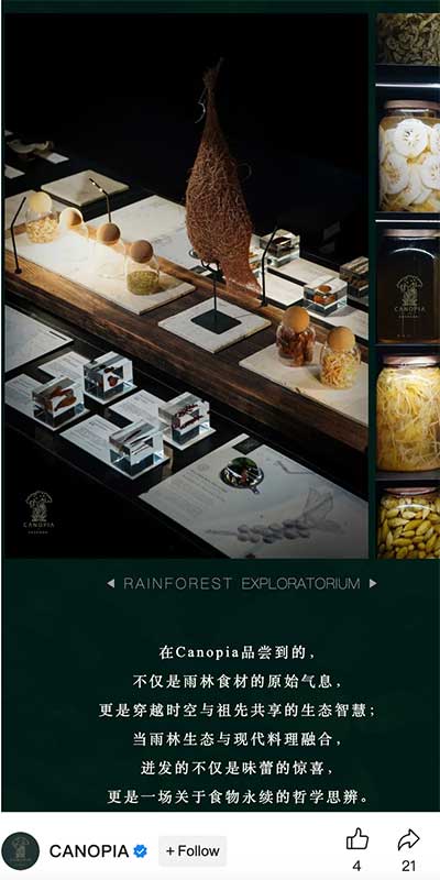 Shanghai fine dining restaurant Canopia under fire for serving diners elephant shit. Market regulators called in.